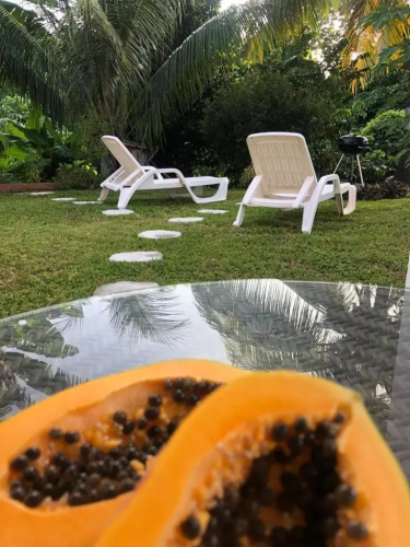 Bel appartement dans écrin de verdure
