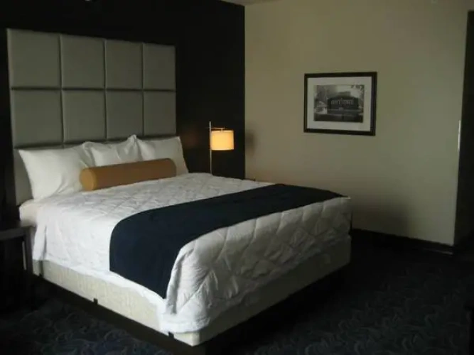 1 Bedroom Double Suite
