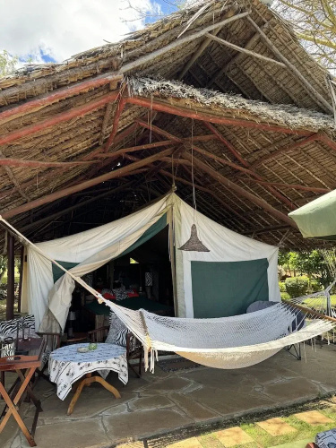 Buffalo's Rest