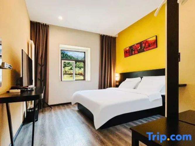 Standard Double room with mountain view