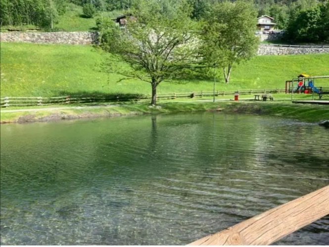 Il nido di Lele e Schina