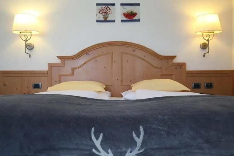 Standard Double room with mountain view