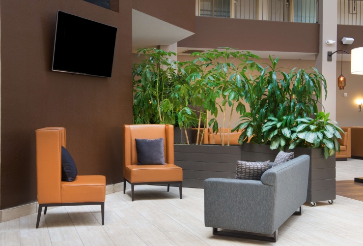 Embassy Suites by Hilton Seattle North Lynnwood photo 29