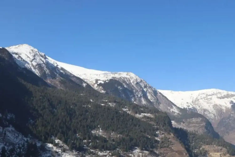 Hotel Sangla Retreat
