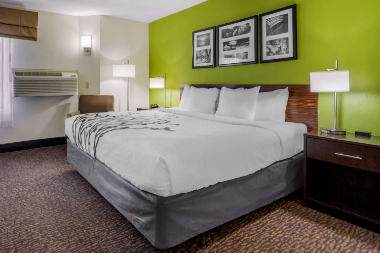 Standard Double room