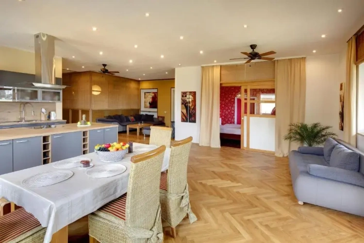Deluxe Apartment