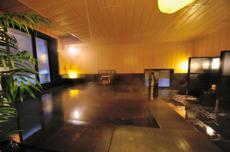 Dormy Inn Sendai Annex Natural Hot SpringOver view