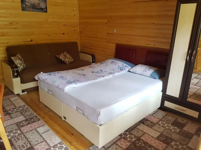 Standard Double room with balcony and with garden view