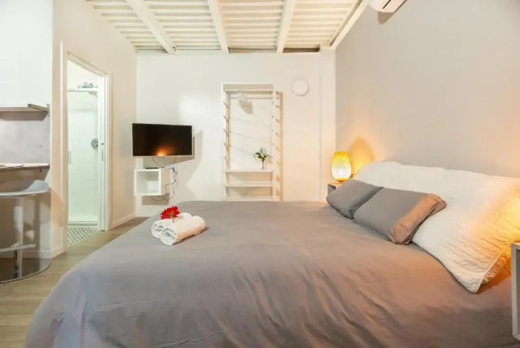 Basement Apartment