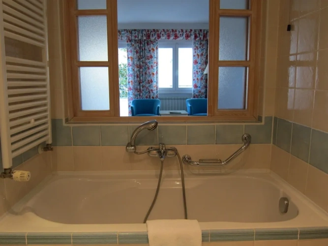 Premium Double room with balcony and with park view