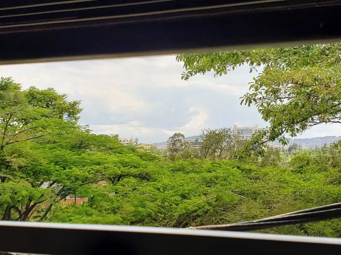 Executive Double room with garden view