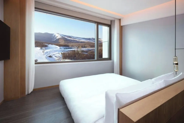 Standard Double Duplex room