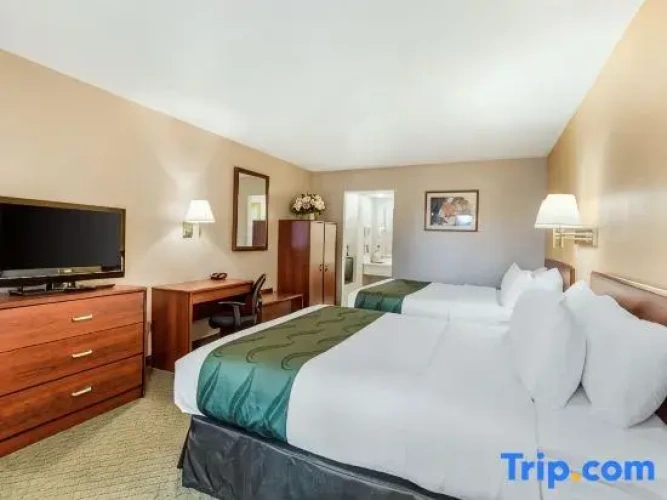 Standard Sextuple room