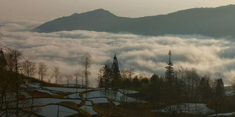 多依湾客栈Havre de Paix Duoyiwan