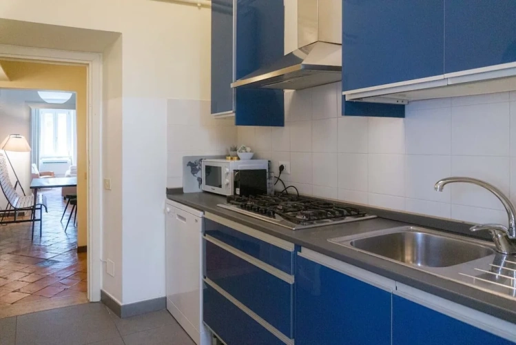 Classic Apartment