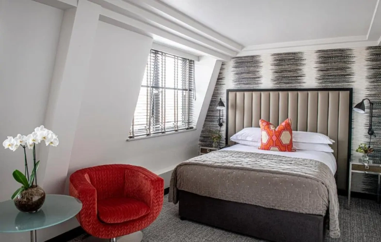 Studio Double Suite