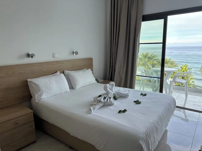 Standard Single room with balcony and with sea view
