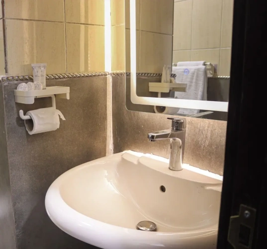 Luxury Apartment