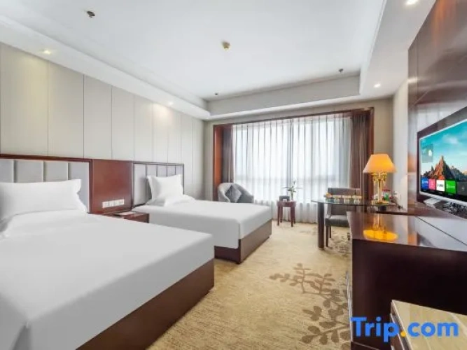 Business Twin room