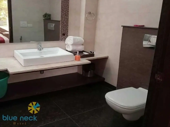 Premium room with balcony and with city view