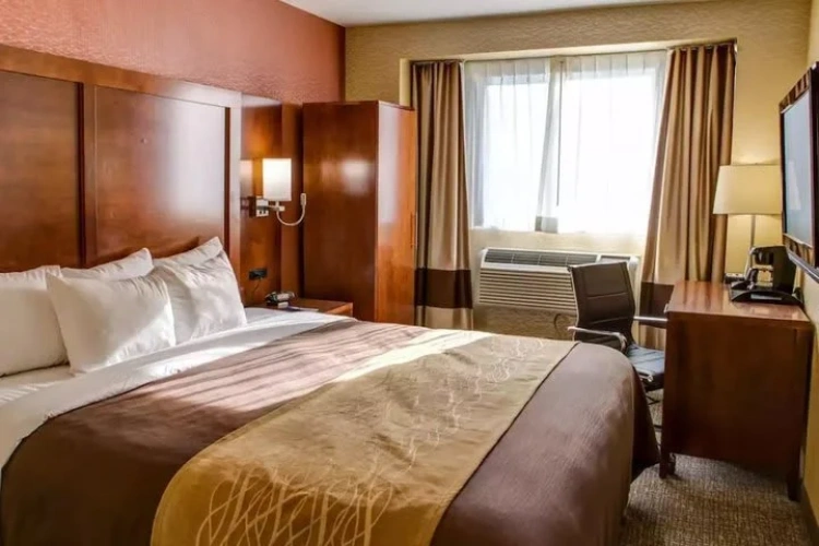 Twin Suite