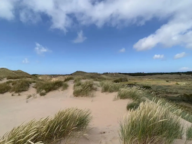 4 Person Holiday Home in Skagen-by Traum