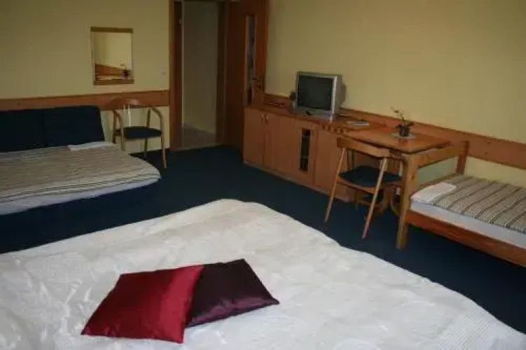 Hotel Botra