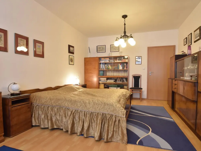 Modern Apartment in Podebrady Near River