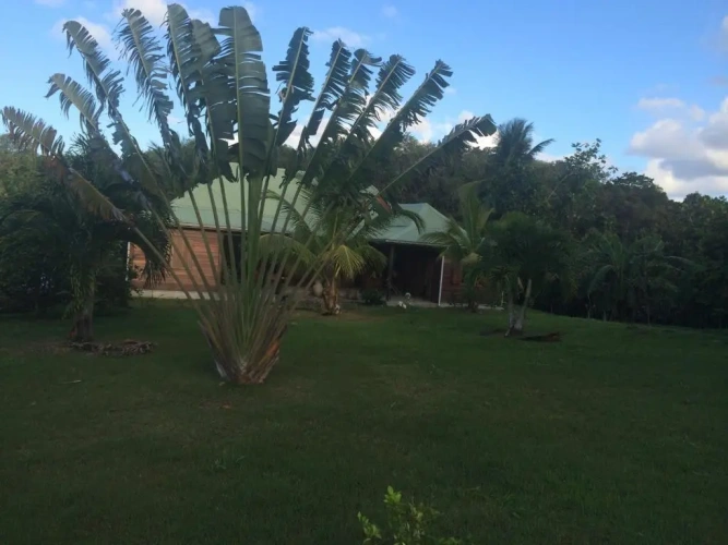 Standard Double room with garden view