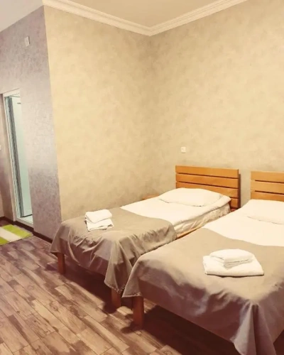 Standard Twin room with garden view