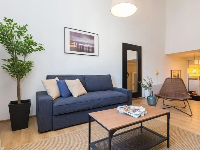 1 Bedroom Apartment