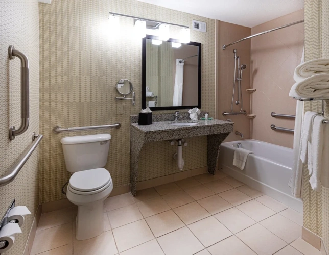 1 Bedroom Suite