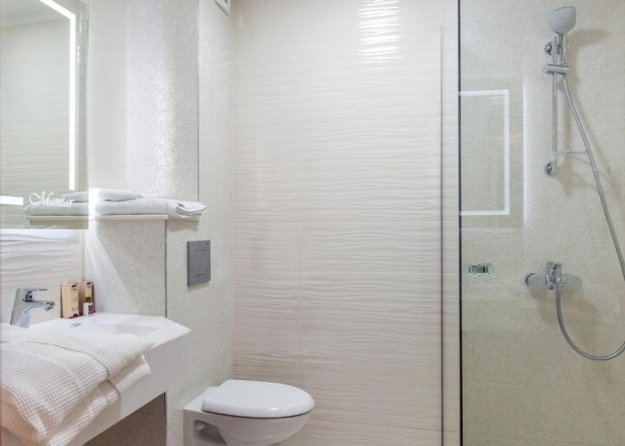 Standard Double room with balcony and with mountain view