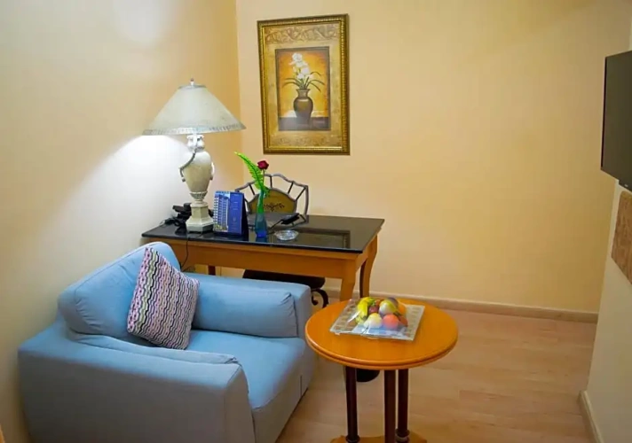 Standard Double room with balcony and with view