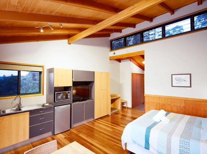 Standard Studio with balcony and with mountain view
