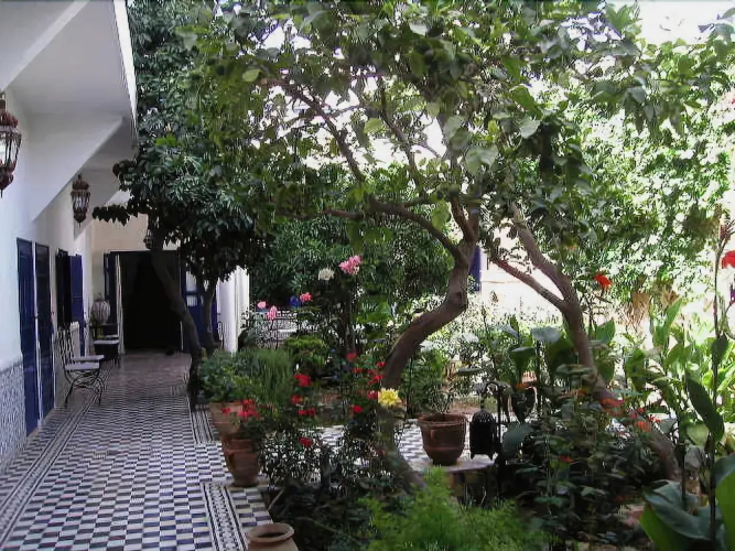Riad M'haïta