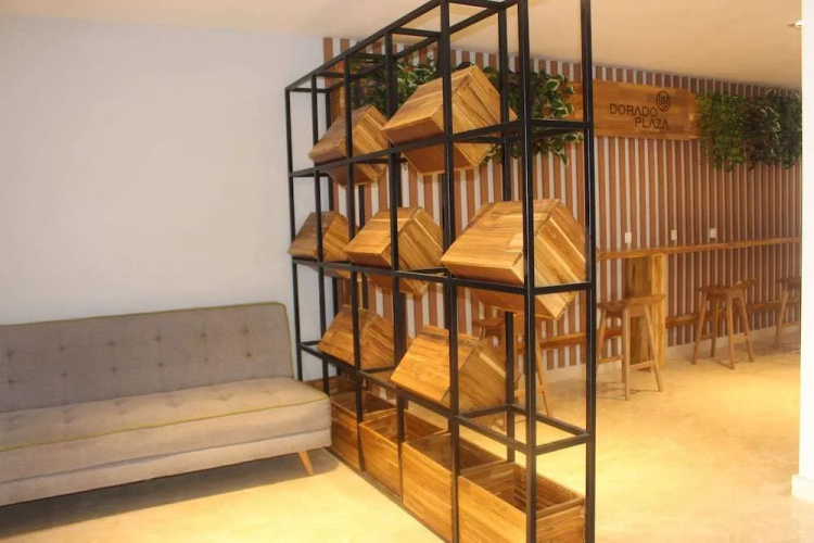 Hotel Dorado Plaza photo 14