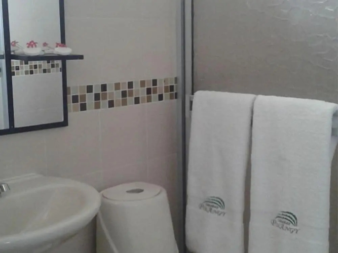 Cabañas Polangy