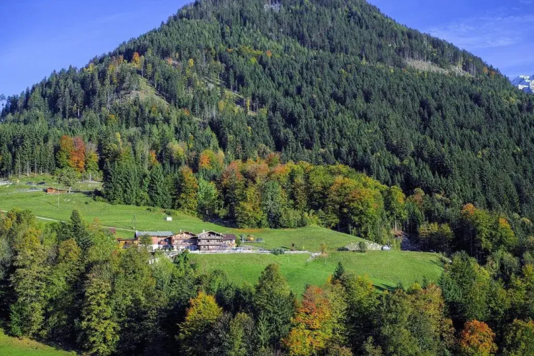 Alpengasthof Hochlenzer