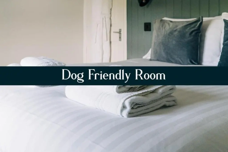 Superior Double room with sea view