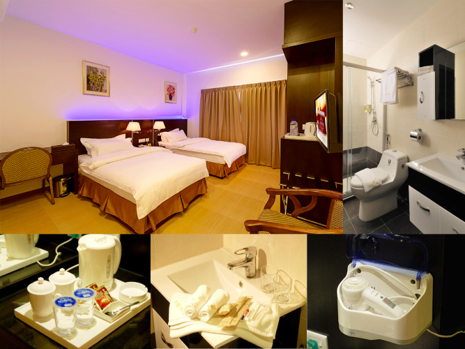 Deluxe Twin room
