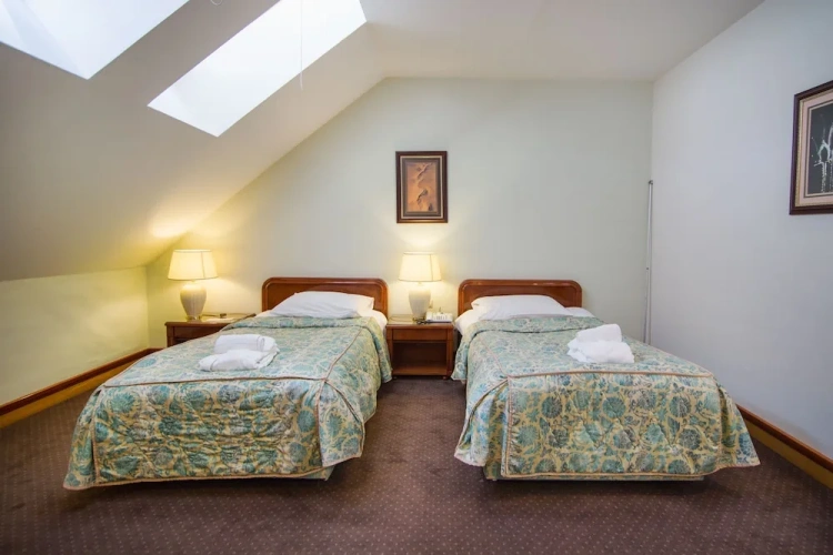 Economy Twin room