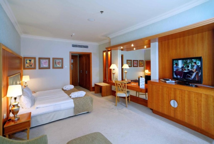 Superior Double room with balcony and with view
