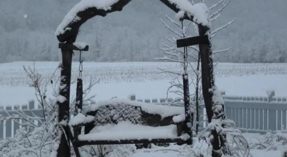 La Suita Bed Breakfast