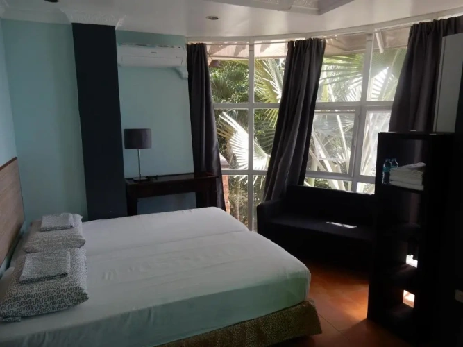 Deluxe Double Studio with balcony and with view