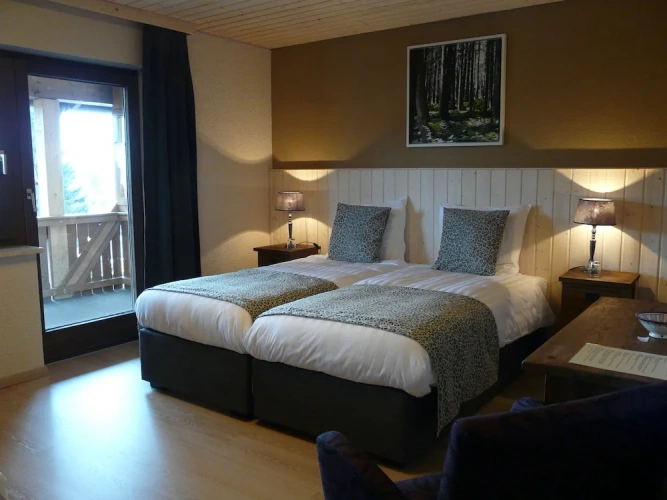 Deluxe Double room with balcony and with land view