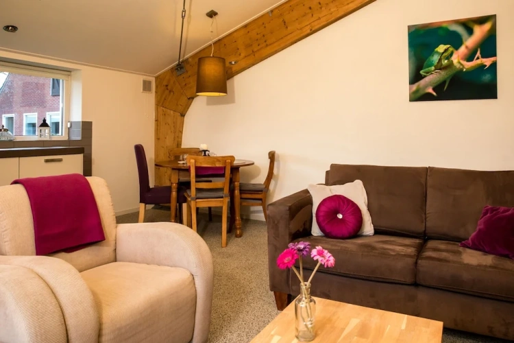 Comfort Apartment