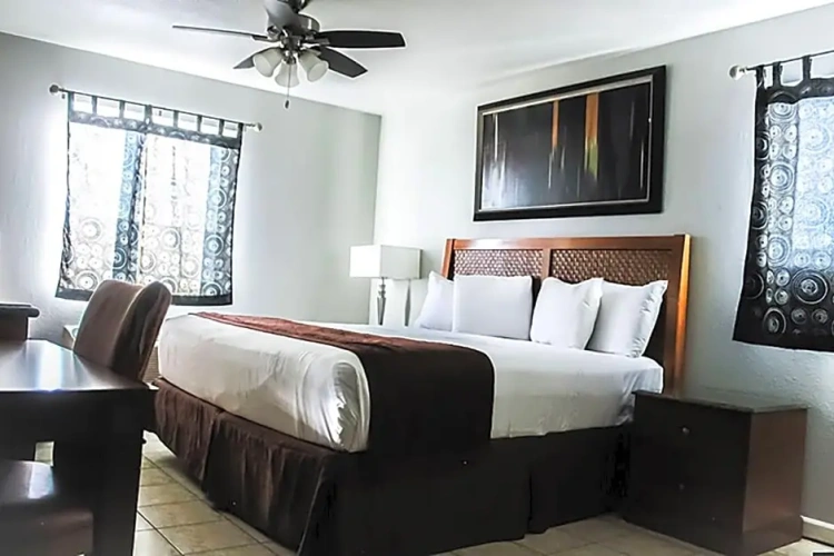 1 Bedroom Apartment
