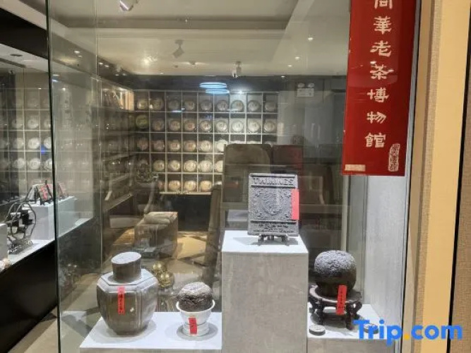 TongHua TEA hotel
