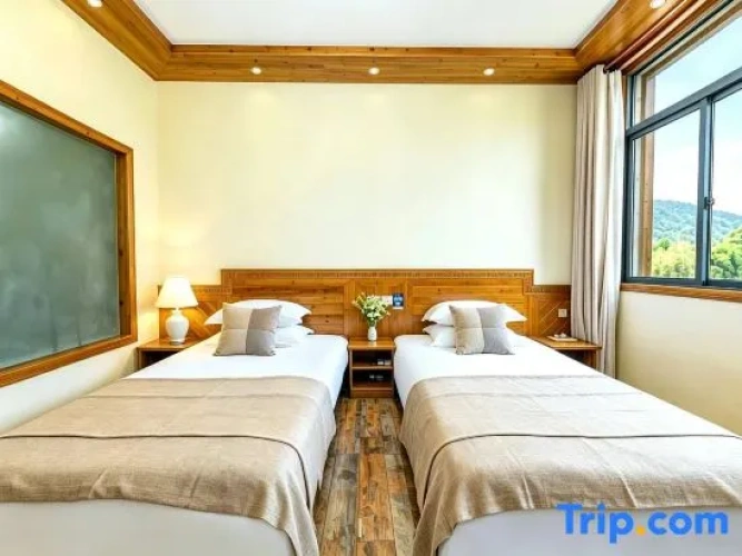 Standard Twin room with courtyard view